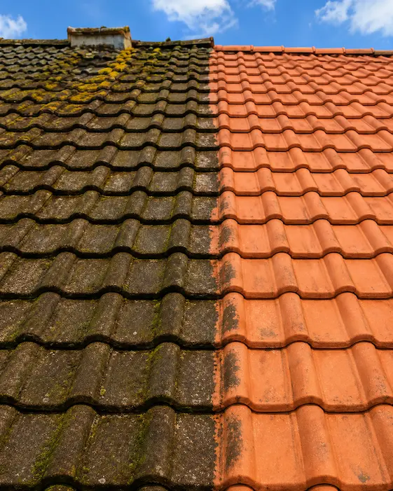 Nettoyage de toiture avant et après par BS Rénovation